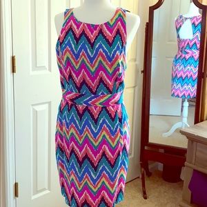 Lily Pulitzer Kirkland Chevron Dress Size 8
